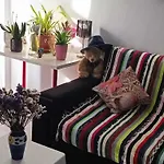 Ocean View 2 Bedroom Flat *
